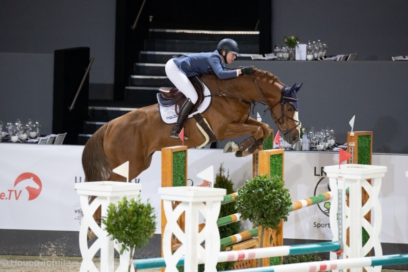 Piece of Cake M foutloos naar finale Pavo hengstencompetitie Piece of Cake M foutloos naar finale Pavo hengstencompetitie